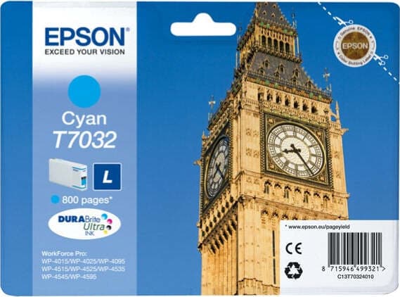 Epson - Tanica - Ciano - T7032 - C13T70324010 - 9 6ml Elettronica/Informatica/Stampanti e accessori/Accessori per stampanti a inchiostro e laser/Cartucce d'inchiostro Eurocartuccia - Pavullo, Commerciovirtuoso.it