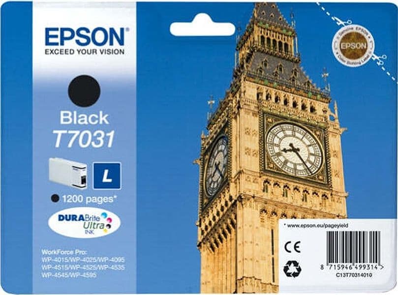 Epson - Tanica - Nero - T7031 - C13T70314010 - 24ml Elettronica/Informatica/Stampanti e accessori/Accessori per stampanti a inchiostro e laser/Cartucce d'inchiostro Eurocartuccia - Pavullo, Commerciovirtuoso.it