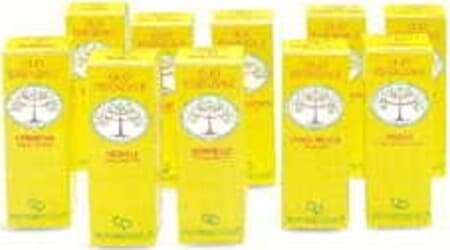EUCALIPTO-Olio-Essenziale-10-ml-Fitomedical