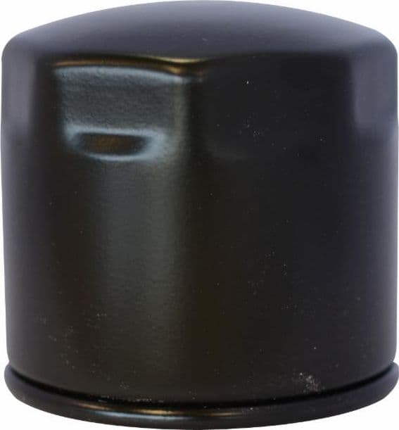 Filtro nafta adattabile al riferimento originale Kubota 15221-43080 in Filtri carburante GardenStore - Novellara, commercioVirtuoso.it