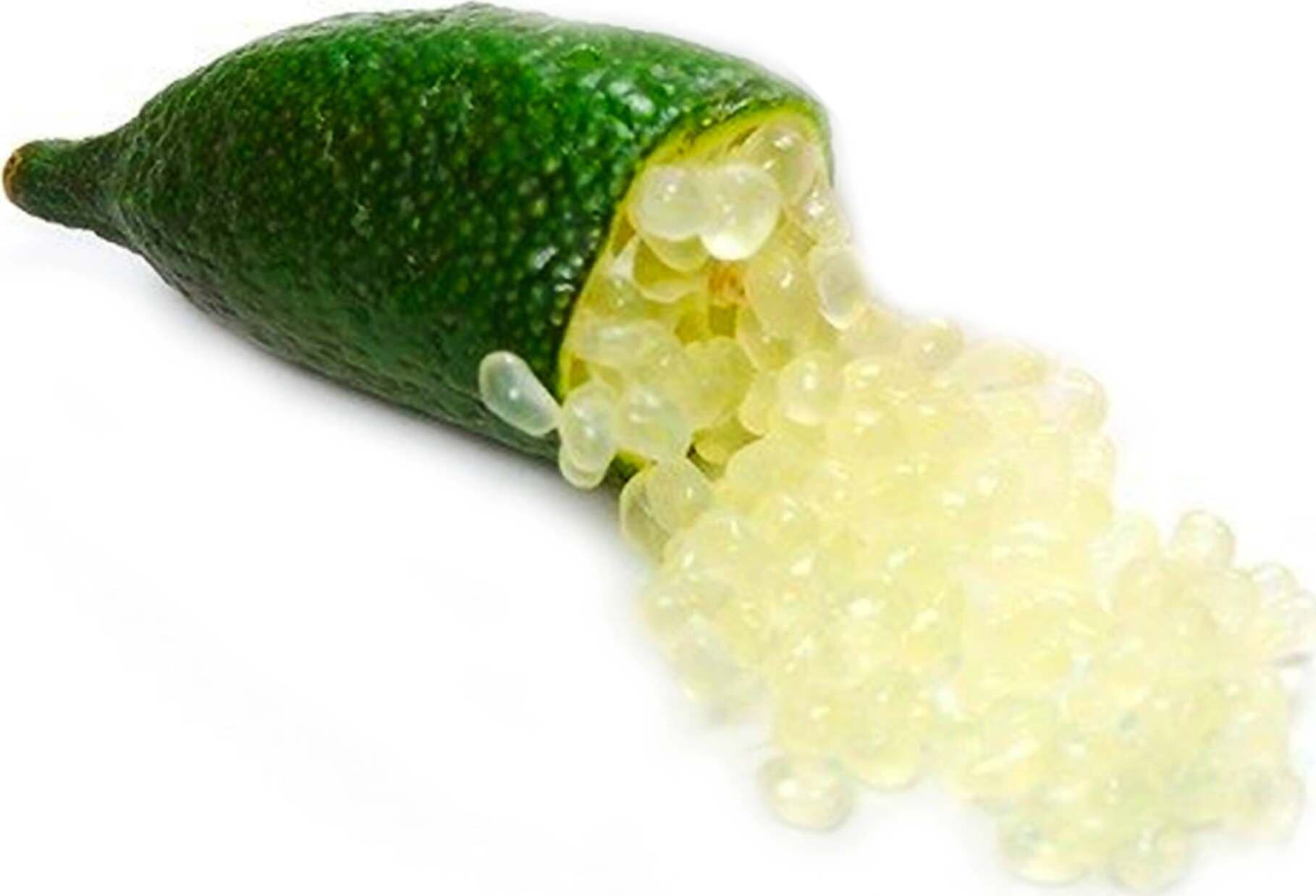 Finger Lime Frutti 200gr Limone Caviale Frutto Made in Italy Caviale Di Limone Italiano Frutti Caviale di Limone Prima Qualità Caviale Di Agrumi Alimentari e cura della casa/Frutta e verdura/Frutta fresca/Agrumi/Limoni Perle di Limone - Marina di Gioiosa Ionica, Commerciovirtuoso.it
