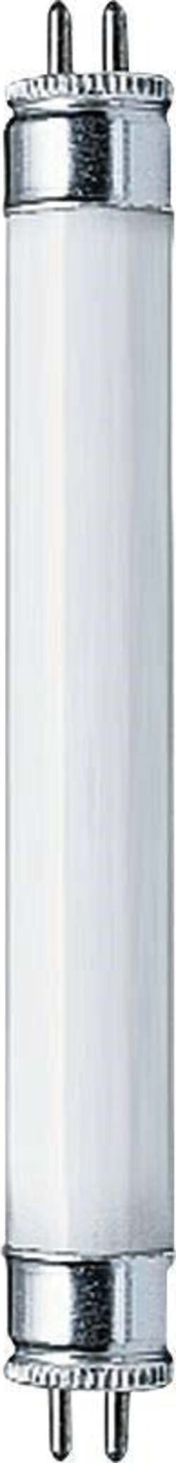 Fluorescent-lamp-T5-4-W-G5,-warm-tone