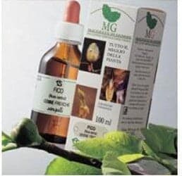 FRASSINO-Macerato-Glicerico-100-ml-Sangalli