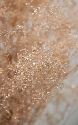 GECKOS--GLITTER-IDROPITTURA-DECORATIVA-EFFETTO-LUCCICANTE-BASE-ORO-2-LT-VERDE-BOTANICO-N-5