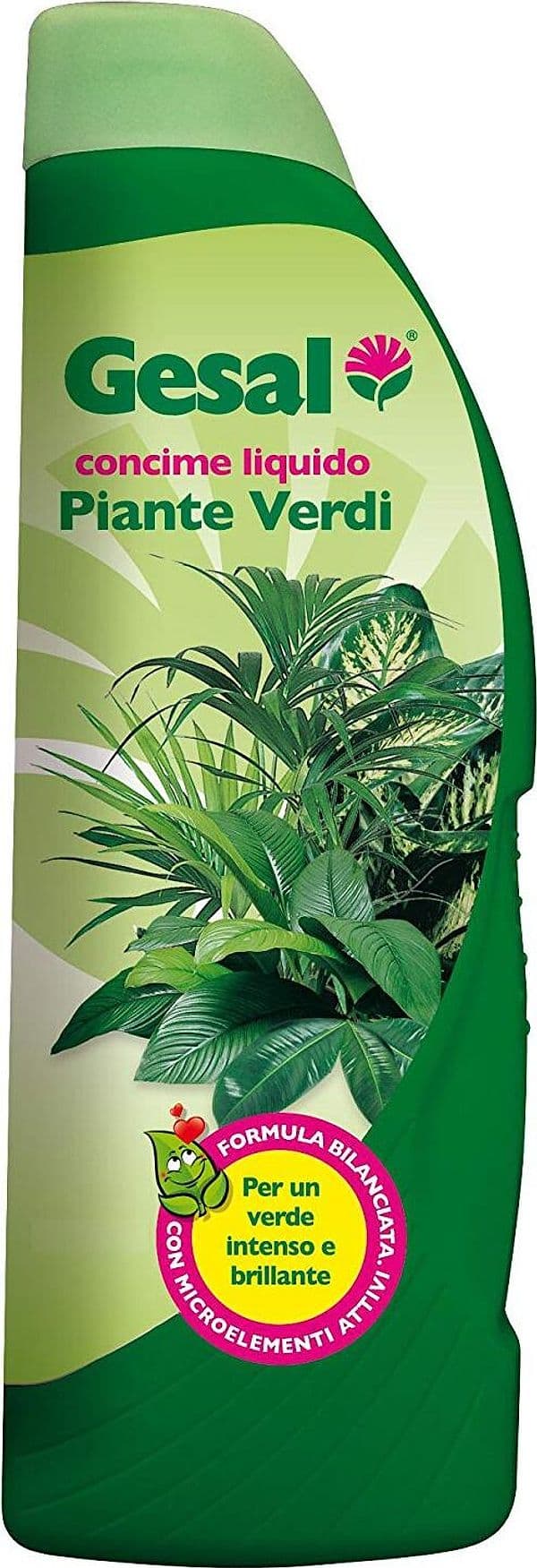 GESAL-2676202005-Concime-per-Piante-Verdi,-1-l,-Verde,-26.5x7x8.9-cm