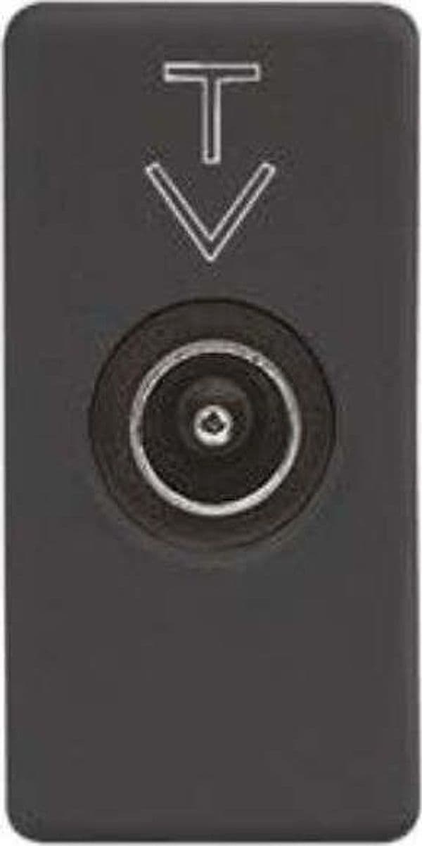 GEWISS---PRESA-TV-PASSANTE-MASCHIO-GW21386
