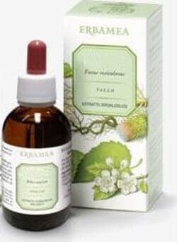 GINKGO-BILOBA-Foglie-Estratto-Idroalcolico-50-ml-Erbamea