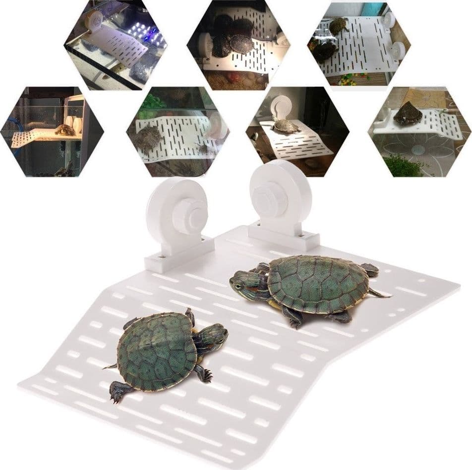 ISOLA GALLEGGIANTE PER TARTARUGA TARTARUGHE RETTILE CON 2 VENTOSE ACQUARIO Prodotti per animali domestici/Rettili e anfibi/Arredi per habitat/Rocce Trade Shop italia - Napoli, Commerciovirtuoso.it