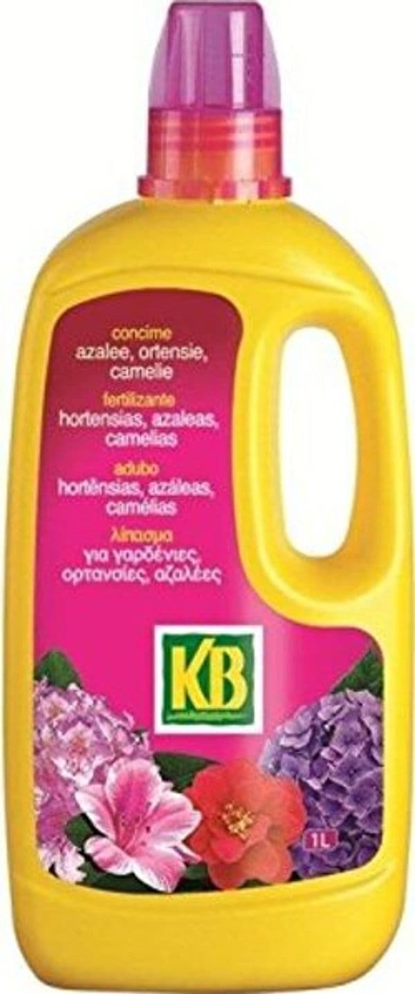 Kb-concime-azalee-ortensie-camelie-1-L