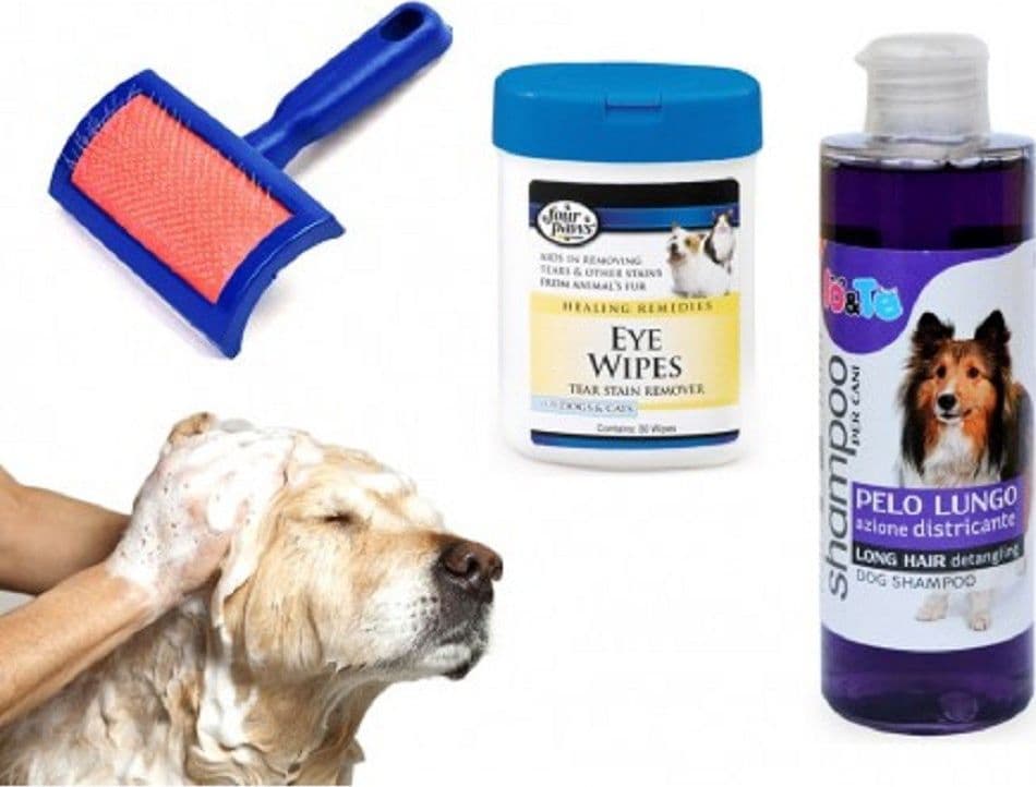 Kit Pulizia Cani Shampoo Azione Districante Salviettine Spazzola Cardatore Pelo Lungo Prodotti per animali domestici/Cani/Accessori per toilette/Spazzole Trade Shop italia - Napoli, Commerciovirtuoso.it