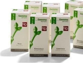 KIWI-MACERATO-GLICERICO-50-ML