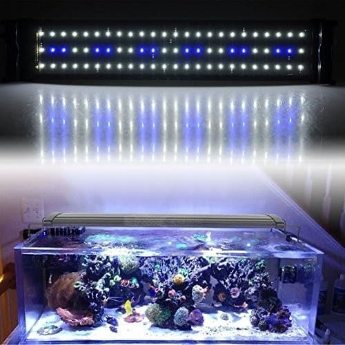 LAMPADA PLAFONIERA HQ LED PER ACQUARI ACQUARIO BORDO VASCA REGOLABILE CM W LUCE Prodotti per animali domestici/Pesci e animali d'acqua/Illuminazione per acquario Trade Shop italia - Napoli, Commerciovirtuoso.it