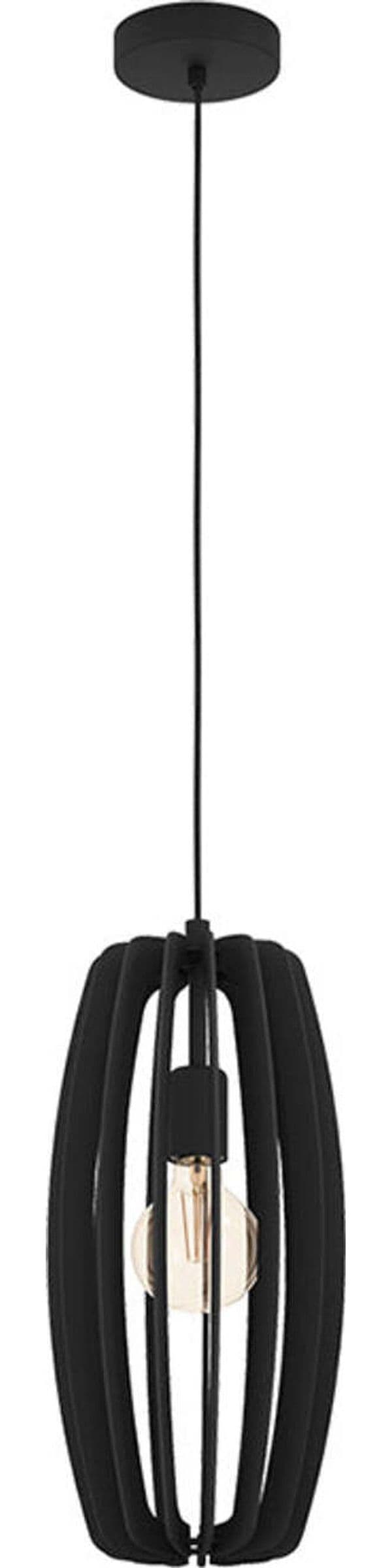 Lampadario-Industrial-Bajazzara-1-Luce-Acciaio-Nero-Diffusore-Nero