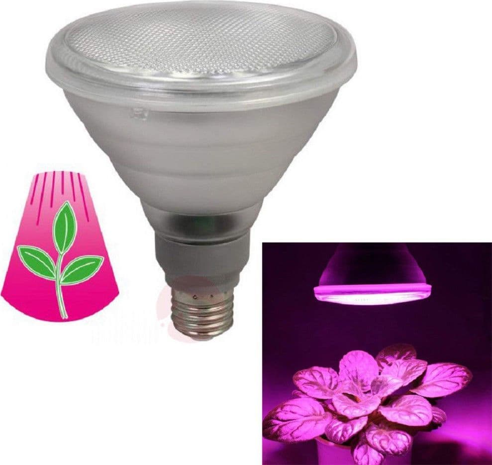 Lampadina Led Lampada 10w 5 Led Per Coltivazione Piante Fiori Idroponica E27 Giardino e giardinaggio/Giardinaggio/Serre e attrezzature per la germinazione/Illuminazione/Impianti per coltivazione indoor Trade Shop italia - Napoli, Commerciovirtuoso.it