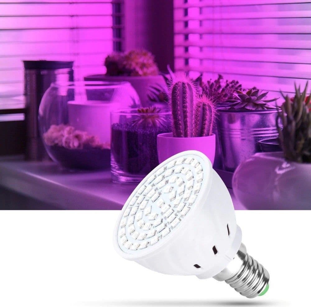 Lampadina Led Smd Lampada 2w Per Coltivazione Piante Fiori Idroponica E14 E27 Giardino e giardinaggio/Giardinaggio/Serre e attrezzature per la germinazione/Illuminazione/Impianti per coltivazione indoor Trade Shop italia - Napoli, Commerciovirtuoso.it