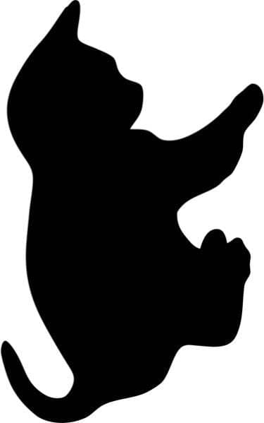 Lavagna da parete Silhouette - 45 5x29 cm - forma gatto - nero - Securit Cancelleria e prodotti per ufficio/Archivio ufficio e accessori per scrivania/Lavagne e bacheche/Lavagne Eurocartuccia - Pavullo, Commerciovirtuoso.it