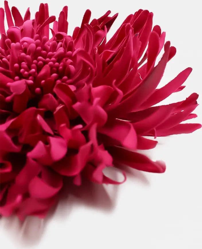 Spilla fiore grande in Mollette per capelli Leclaf - Napoli, commercioVirtuoso.it