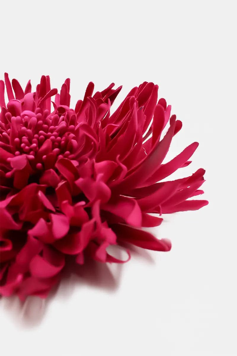 Spilla fiore grande in Mollette per capelli Leclaf - Napoli, commercioVirtuoso.it