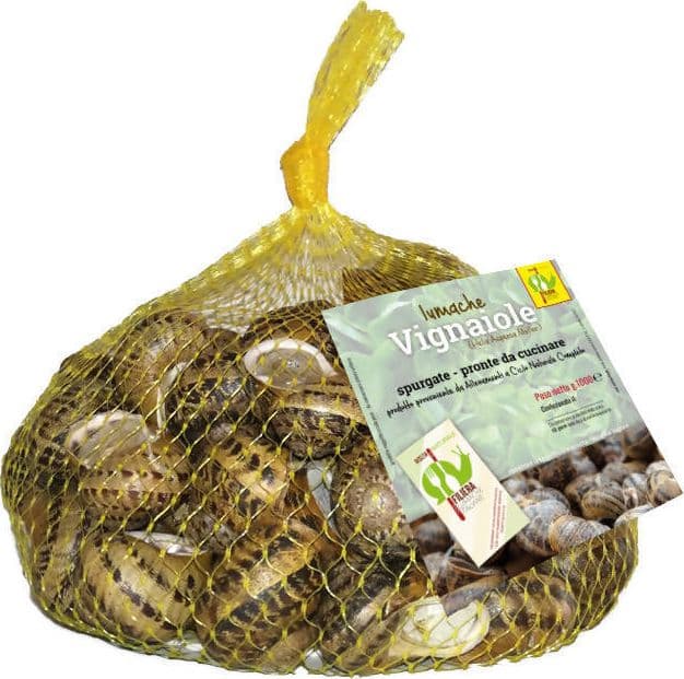 Lumache da Gastronomia Vignaiole Helix Aspersa 11-12 gr. Cad Pronte per la Cottura Filiera Lumache Italiane Coclè in Lumache Coclè - Piana di Monte Verna, commercioVirtuoso.it