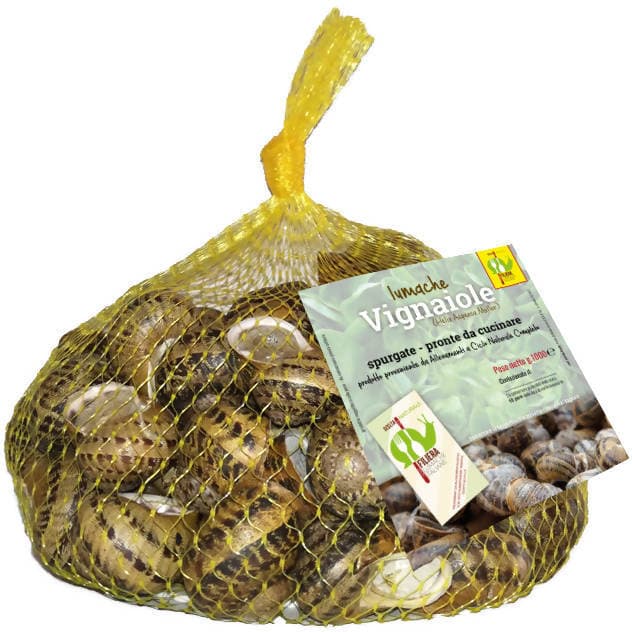 Lumache da Gastronomia Vignaiole Helix Aspersa 11-12 gr. Cad Pronte per la Cottura Filiera Lumache Italiane Coclè in Lumache Coclè - Piana di Monte Verna, commercioVirtuoso.it