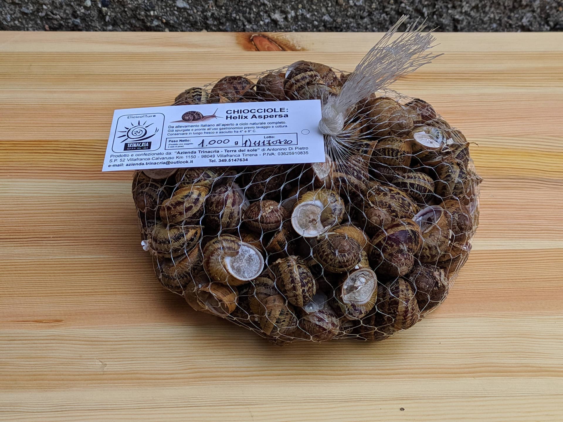 Lumache Spurgate Chiocciole Helix Aspersa Da Gastronomia In Sacchetto Allevate All'aperto Da 1 Kg Azienda Trinacria - Terra Del Sole in Lumache Azienda Trinacria Terra del Sole - Villafranca Tirrena (ME), commercioVirtuoso.it