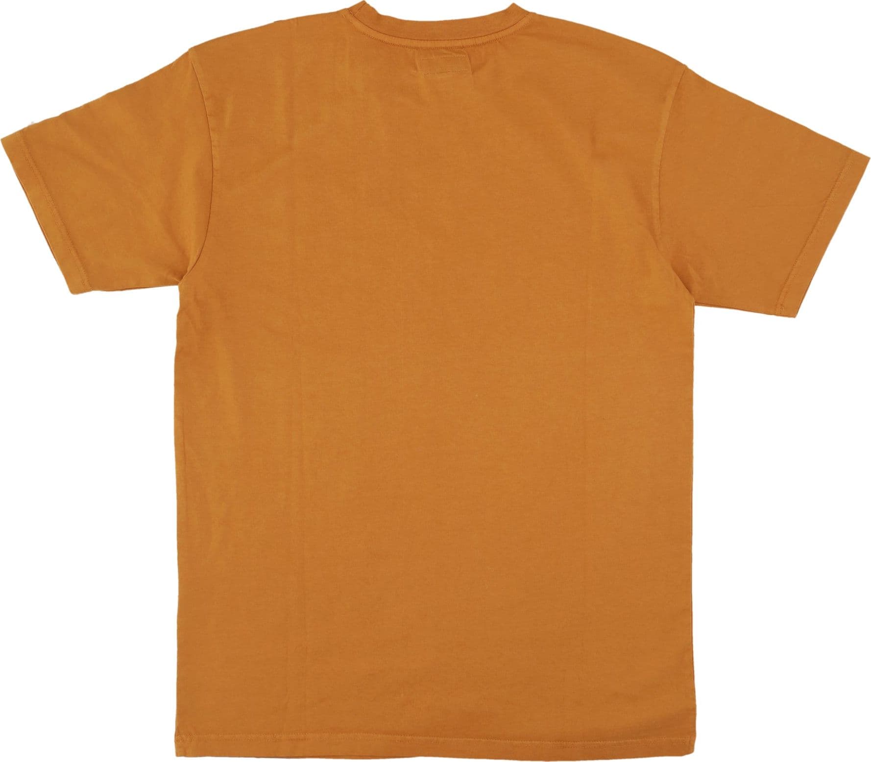 MARKET Maglietta Uomo Ultimate Performance Bear Tee Earth da uomo in T-Shirt Drestige - Casamassima, commercioVirtuoso.it