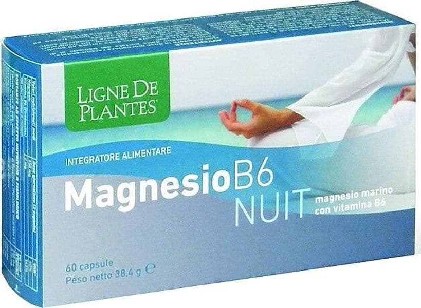 MAGNESIO-B6-NUIT-60-CAPSULE