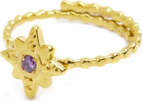 Marlù---ANELLO-ROSA-DEI-VENTI-CON-ZIRCONE-VIOLA-PVD-ORO