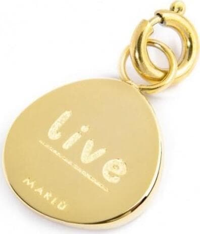 Marlù---CHARM-MEDAGLIETTA-CON-ROSA-DEI-VENTI-E-STRASS-PVD-ORO