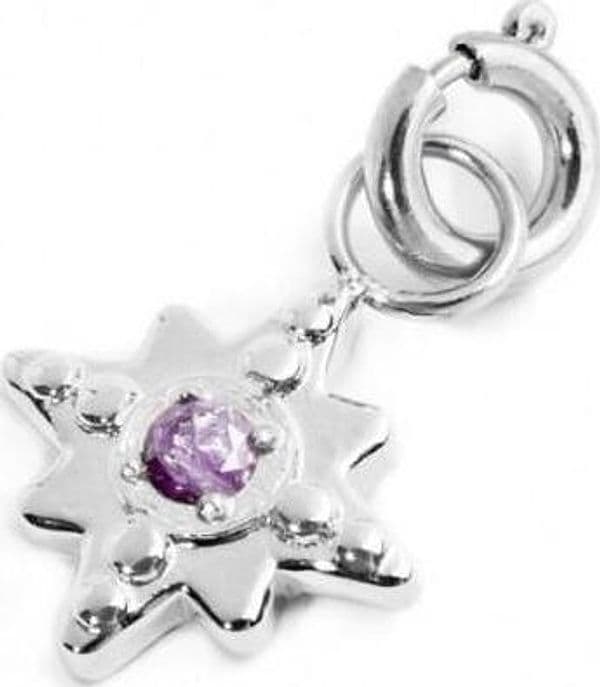 Marlù---CHARM-ROSA-DEI-VENTI-CON-ZIRCONE-VIOLA-ACCIAIO