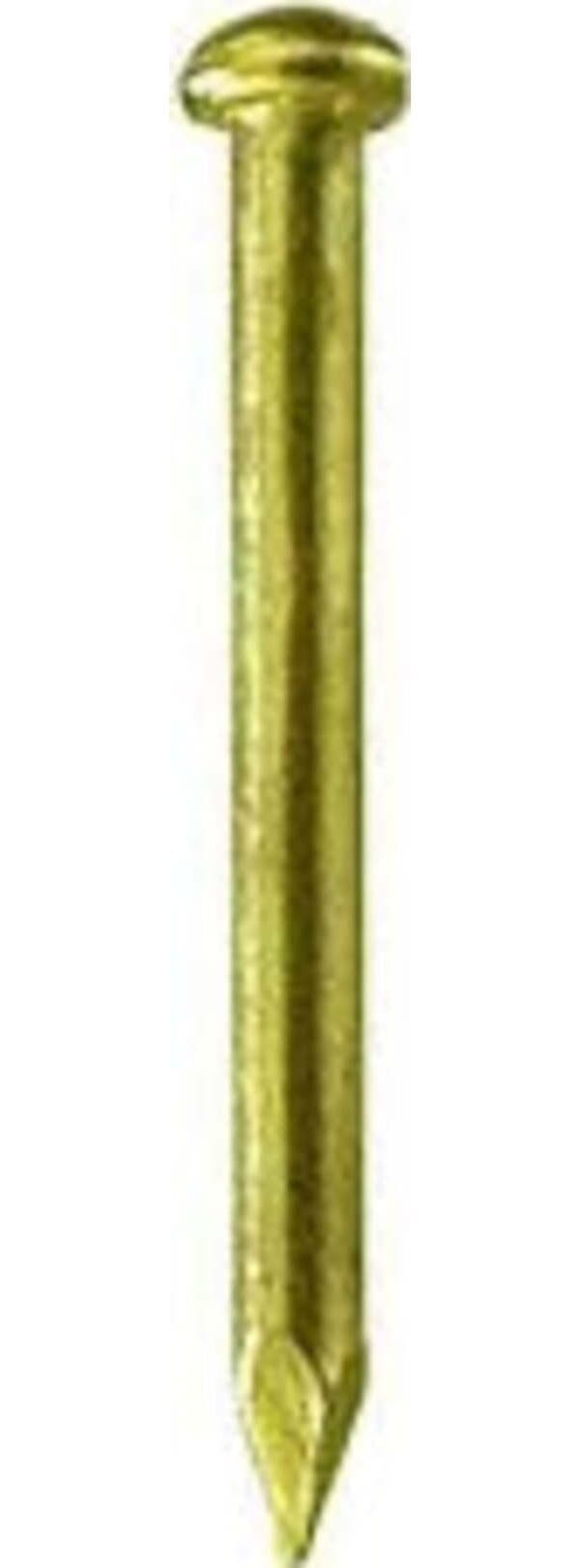MASIDEF-CONNEX--BLISTER-40gr-DI-CHIODI-VETRAI-OTTONATI-1,0X11mm