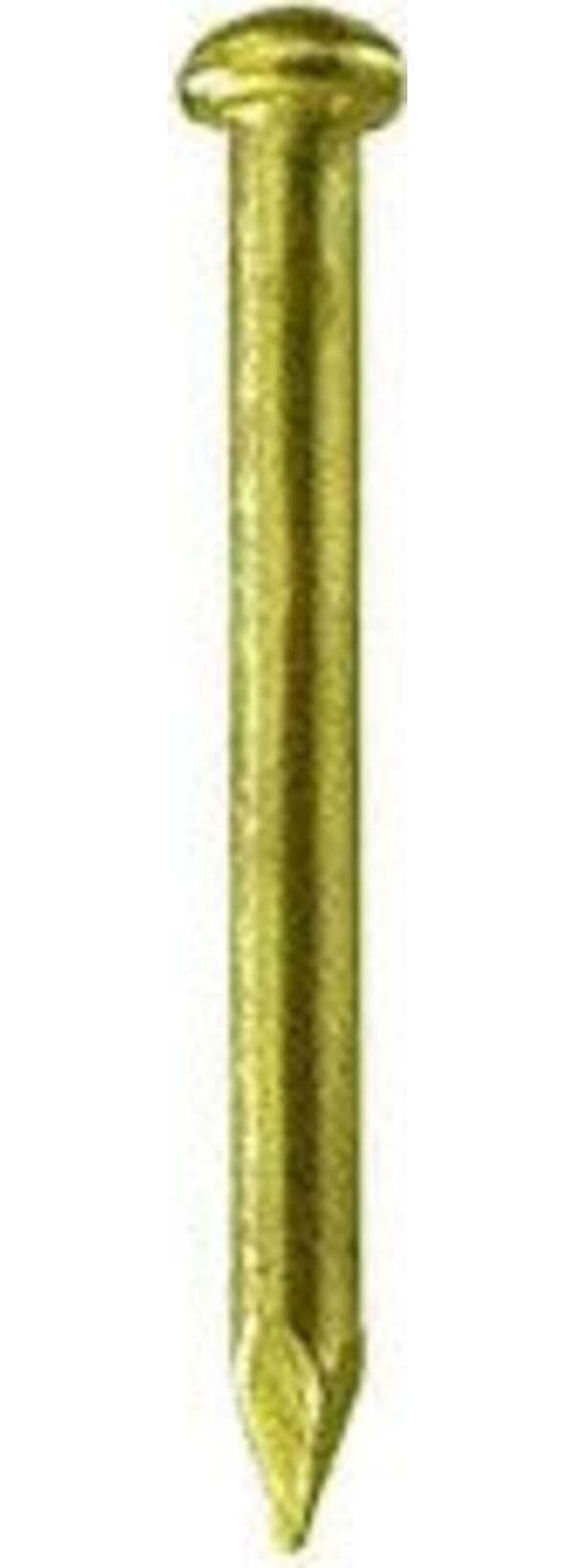 MASIDEF-CONNEX--BLISTER-40gr-DI-CHIODI-VETRAI-OTTONATI-1,6x16mm