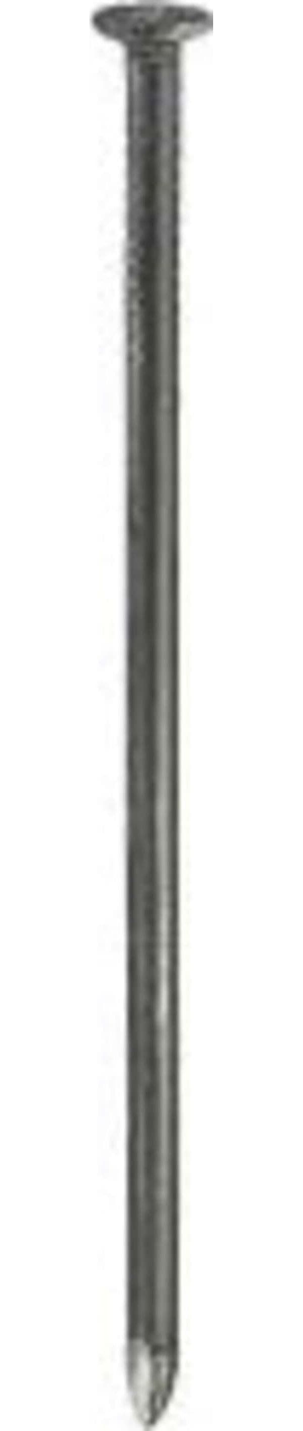 MASIDEF-CONNEX--BLISTER-90gr-CHIODI-TESTA-PIANA-LUCIDI-1,2X20mm