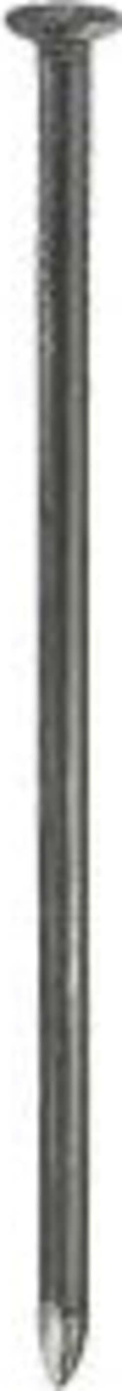 MASIDEF-CONNEX--BLISTER-90gr-CHIODI-TESTA-PIANA-LUCIDI-1,2X20mm