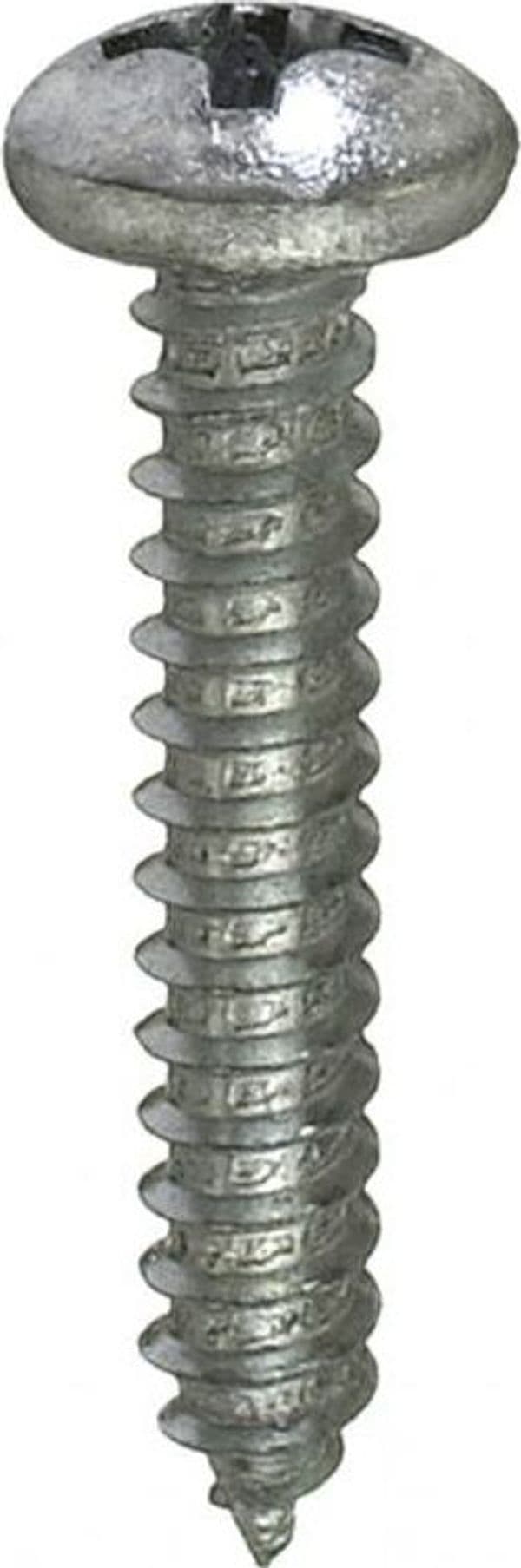 MASIDEF-INOX-TEC-8-VITI-AUTOFILETTANTI-TESTA-CILINDRATA-INOX-5,5X25