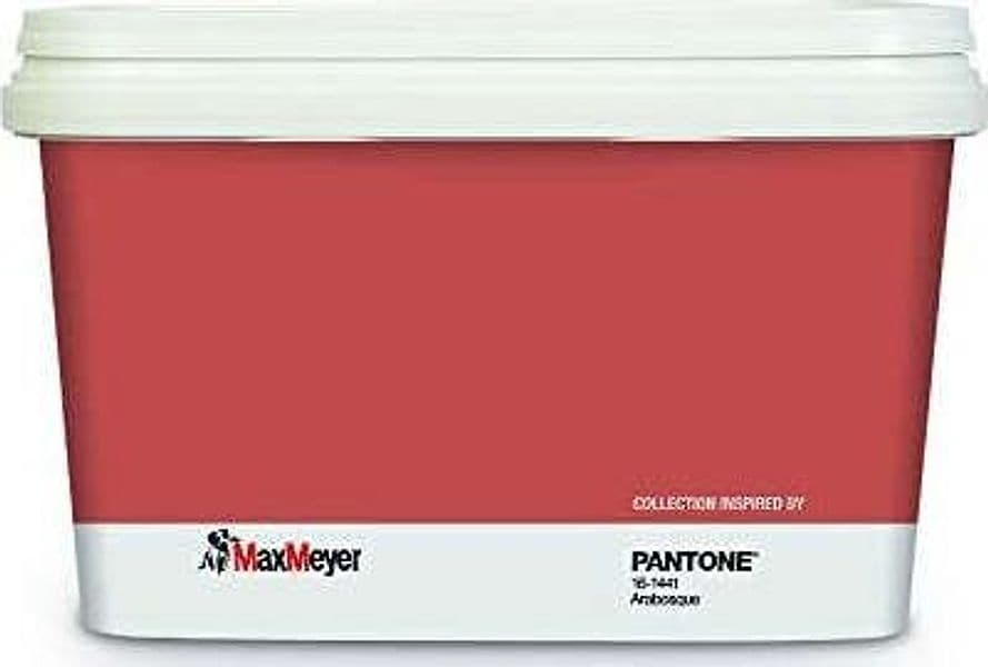 MAX-MEYER---PITTURA-LAVABILE-COLORATA-MURALE-PANTONE-2-LT-ARABESQUE