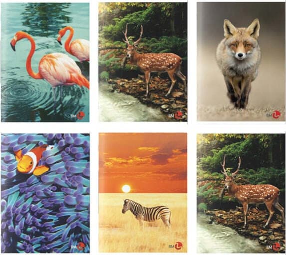 Maxiquaderno Animal fantasia - A4 - 42 fogli - 80gr - rigo di 1a - BM Cancelleria e prodotti per ufficio/Scuola e materiale didattico/Materiale scolastico/Diari quaderni e block notes Eurocartuccia - Pavullo, Commerciovirtuoso.it