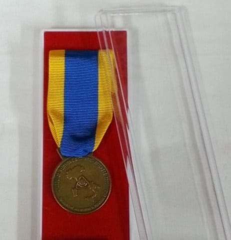 Medaglia Alluvione Del Po Con Scatola Sport e tempo libero/Accessori/Trofei medaglie e premi/Medaglie Il Distintivo - Pesaro, Commerciovirtuoso.it
