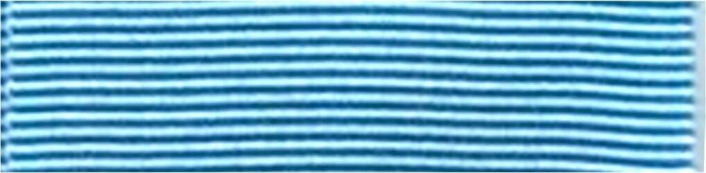 Medaglia Lunga Navigazione Aerea Oro Argento Bronzo Made In Italy Artigianale Sport e tempo libero/Accessori/Trofei medaglie e premi/Medaglie Il Distintivo - Pesaro, Commerciovirtuoso.it