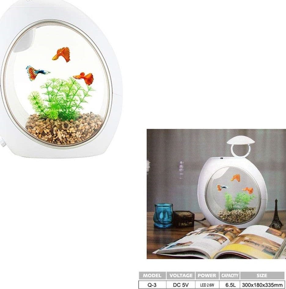 MINI ACQUARIO COMPLETO Q3 CAPACITA' 6.5 LITRI POTENZA 2.6W LED INCORPORATA