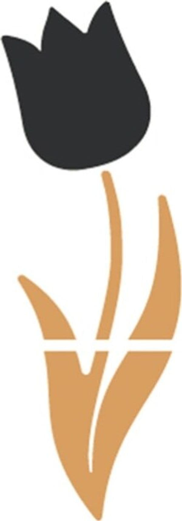 Mix lavagne da parete Tulip - Securit Cancelleria e prodotti per ufficio/Archivio ufficio e accessori per scrivania/Lavagne e bacheche/Lavagne Eurocartuccia - Pavullo, Commerciovirtuoso.it