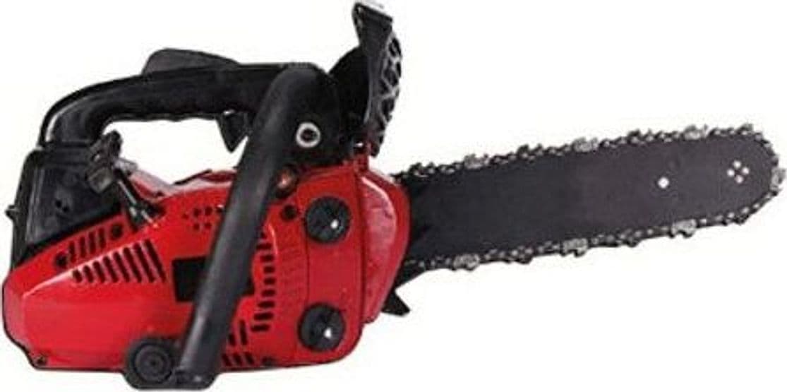 Motosega da potatura a scoppio 2T cilindrata 25 cc 1,2 Hp max IDEAL STAR barra 25 cm in Motoseghe Eternal Brico - Ariano Irpino, commercioVirtuoso.it