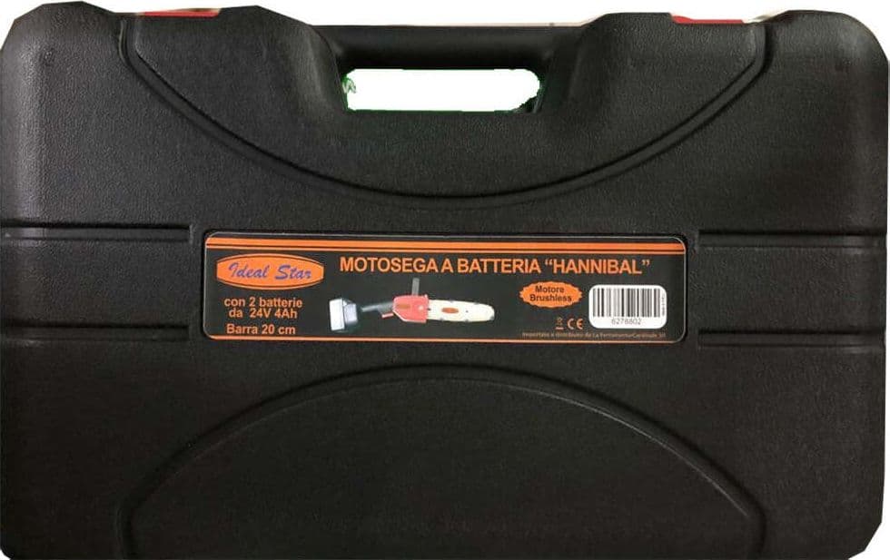Motosega potatura a batteria pota 24V Brushless 2 batterie valigetta Barra 20 cm in Motoseghe Eternal Brico - Ariano Irpino, commercioVirtuoso.it