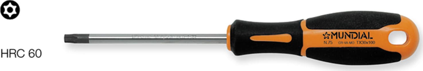 MUNDIAL-GIRAVITE-PER-VITI-TORX-CON-FORO-TX45X125