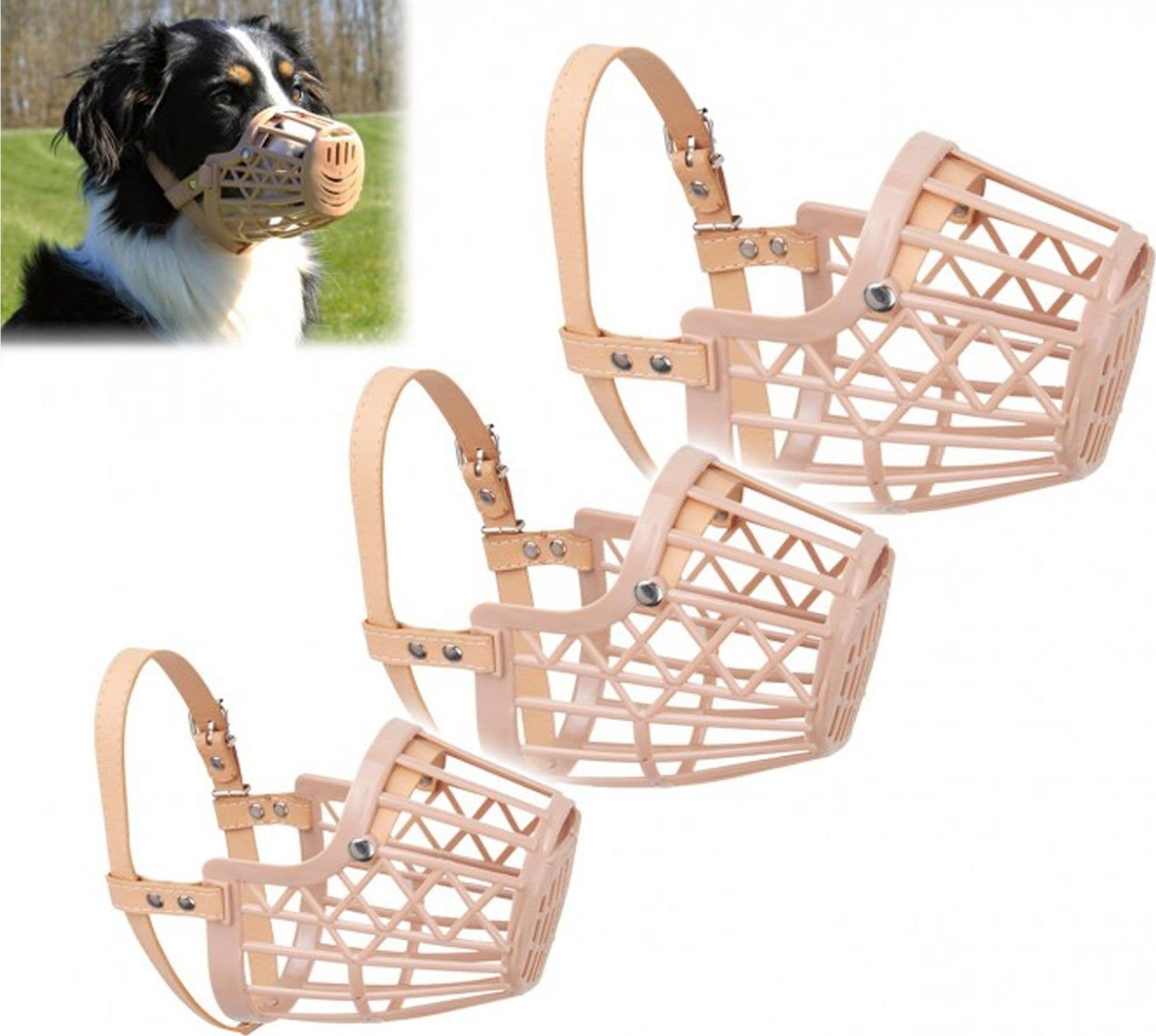 MUSERUOLA A CESTELLO IN PLASTICA PER CANI DI PICCOLA MEDIA GRANDE TAGLIA SICURA