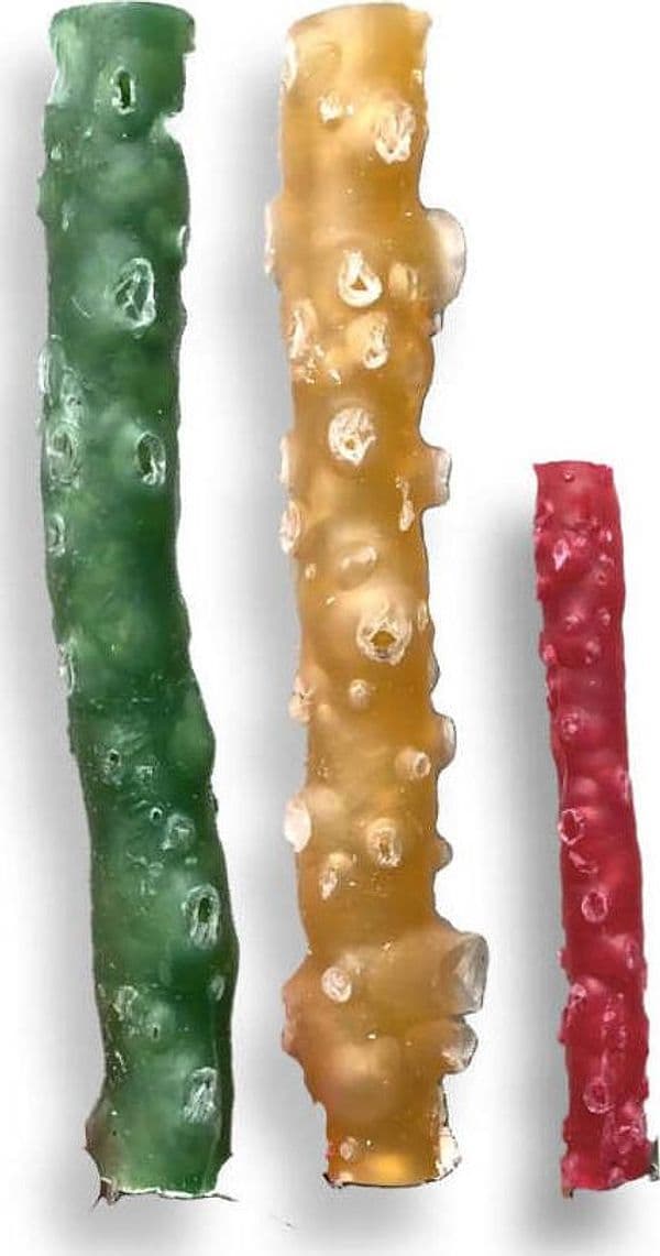 My Branch - BEST SELLER Dental Care rametto stick pulizia denti dental care dental stick vegetale biodegradabile Rametto stick pulizia denti dental care dental stick vegetale biodegradabile MY CIUFFOGATTO® per cani e gatti, Commerciovirtuoso.it