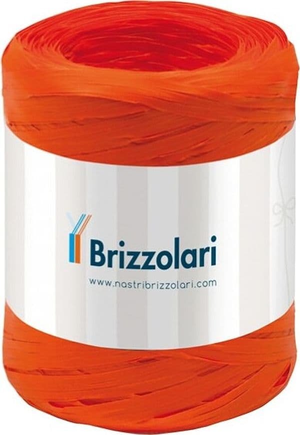 Nastro Rafia sintetica - arancione 12 - 5mmx200mt - Brizzolari Casa e cucina/Decorazioni per interni/Addobbi e decorazioni per ricorrenze/Decorazioni natalizie/Fiocchi e nastri Eurocartuccia - Pavullo, Commerciovirtuoso.it