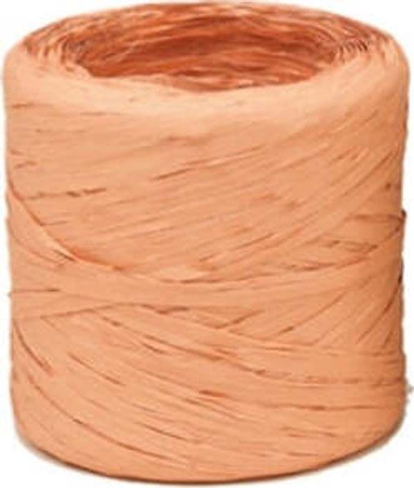 Nastro Raphia Vintage - salmone 64 - 200mt - Bolis Casa e cucina/Decorazioni per interni/Addobbi e decorazioni per ricorrenze/Decorazioni natalizie/Fiocchi e nastri Eurocartuccia - Pavullo, Commerciovirtuoso.it