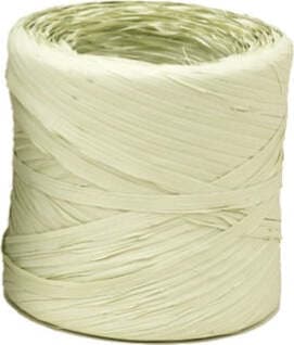 Nastro Raphia Vintage - verde nilo 62 - 200mt - Bolis Casa e cucina/Decorazioni per interni/Addobbi e decorazioni per ricorrenze/Decorazioni natalizie/Fiocchi e nastri Eurocartuccia - Pavullo, Commerciovirtuoso.it