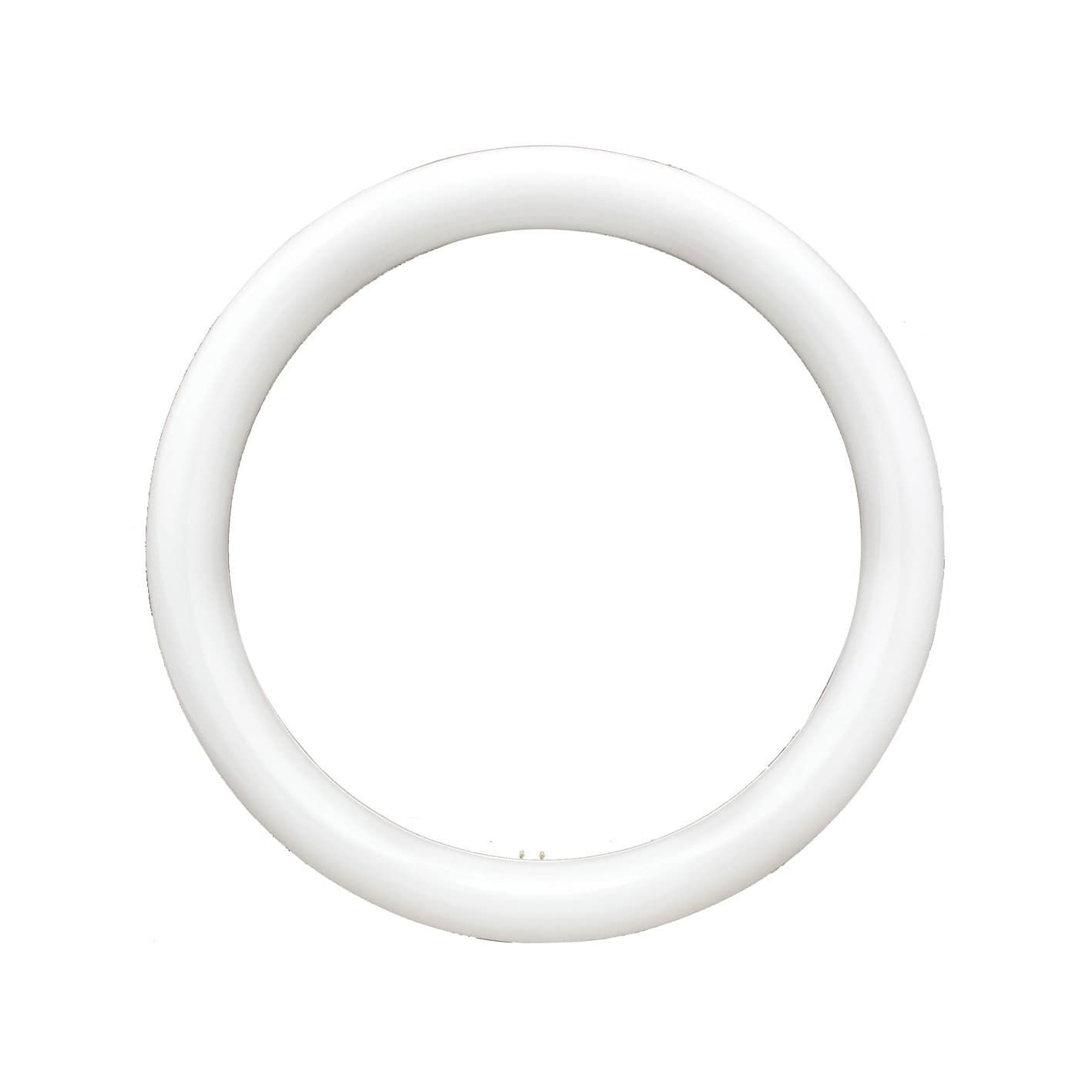 NEON CIRCOLARE DISCO LAMPADA CIRCOLINA LAMPADINA 32W G10Q 30CM 300MM LUCE FREDDA Illuminazione/Lampadine/Lampadine a LED Trade Shop italia - Napoli, Commerciovirtuoso.it